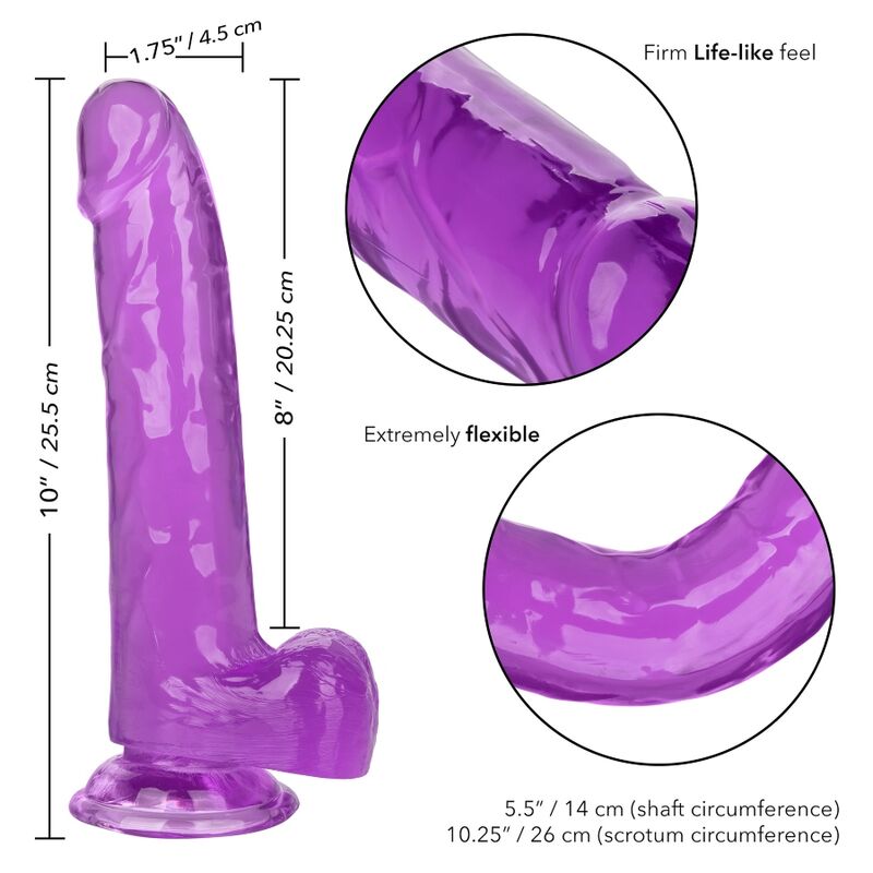 CALEXOTICS - DILDO REGINA TAGLIA VIOLA 20.3 CM