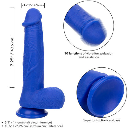 CALEXOTICS - ADMIRAL VIBRATORE DILDO REALISTICO DEL CAPITANO BLU