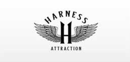 HARNESS ATTRACTION