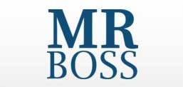 MR. BOSS